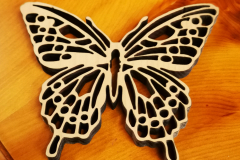 Schmetterling