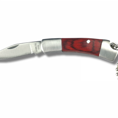 PhotoRoom-20221130_140121