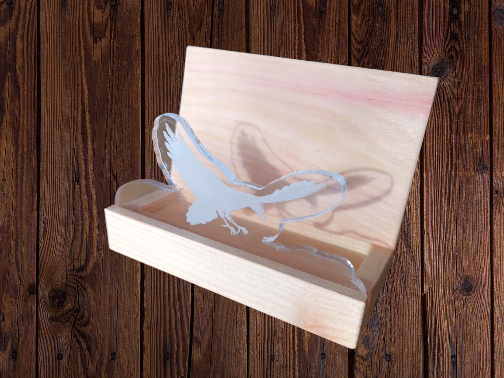 PhotoRoom-20221211_131548